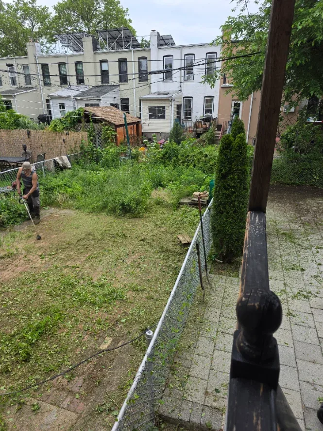 Overgrown Staten Island backyard being cleared by the Greenscape crew