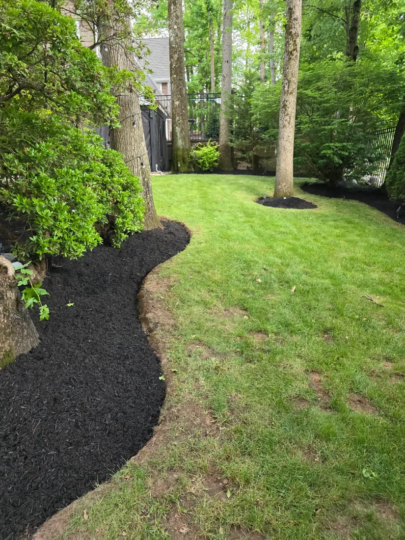 Fresh black mulch bed with a clean cut edge along the lawn