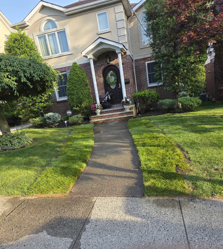 Fresh sod strips installed along a front walkway