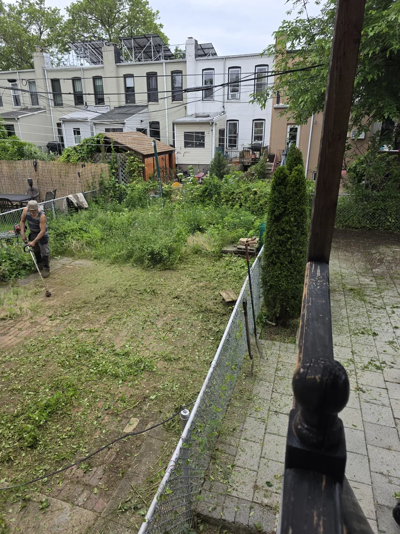 Crew clearing an overgrown Staten Island backyard with a string trimmer