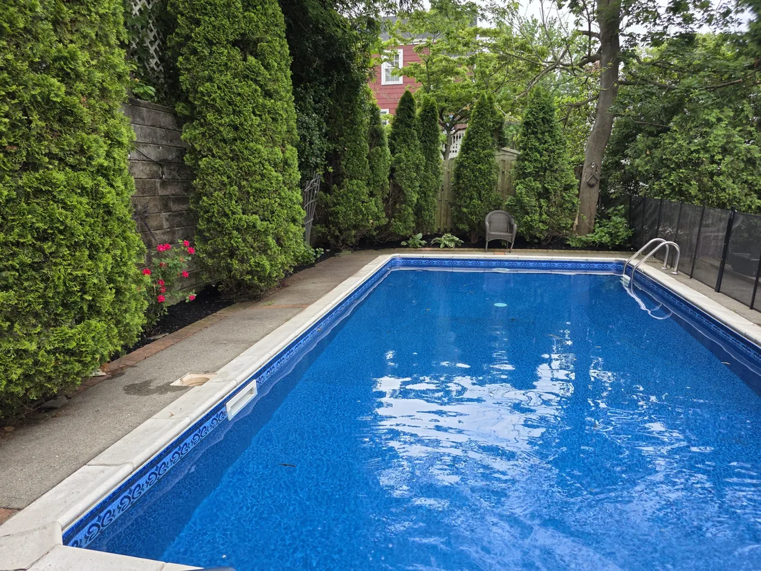 Backyard pool bordered by tall arborvitae and maintained beds