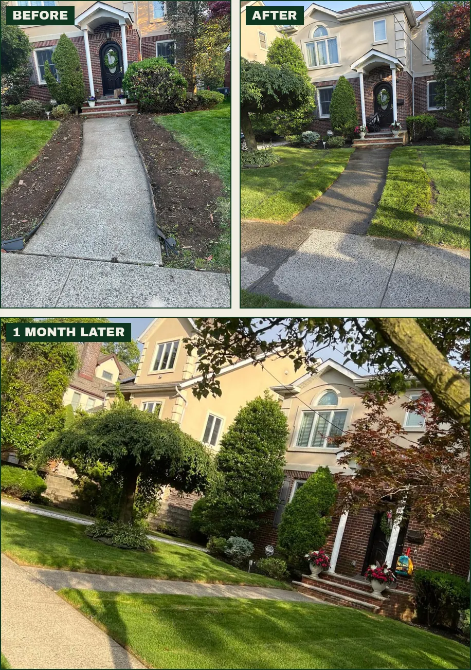 Progress of a front walkway: bare soil, then new sod laid, then the lawn established a month later