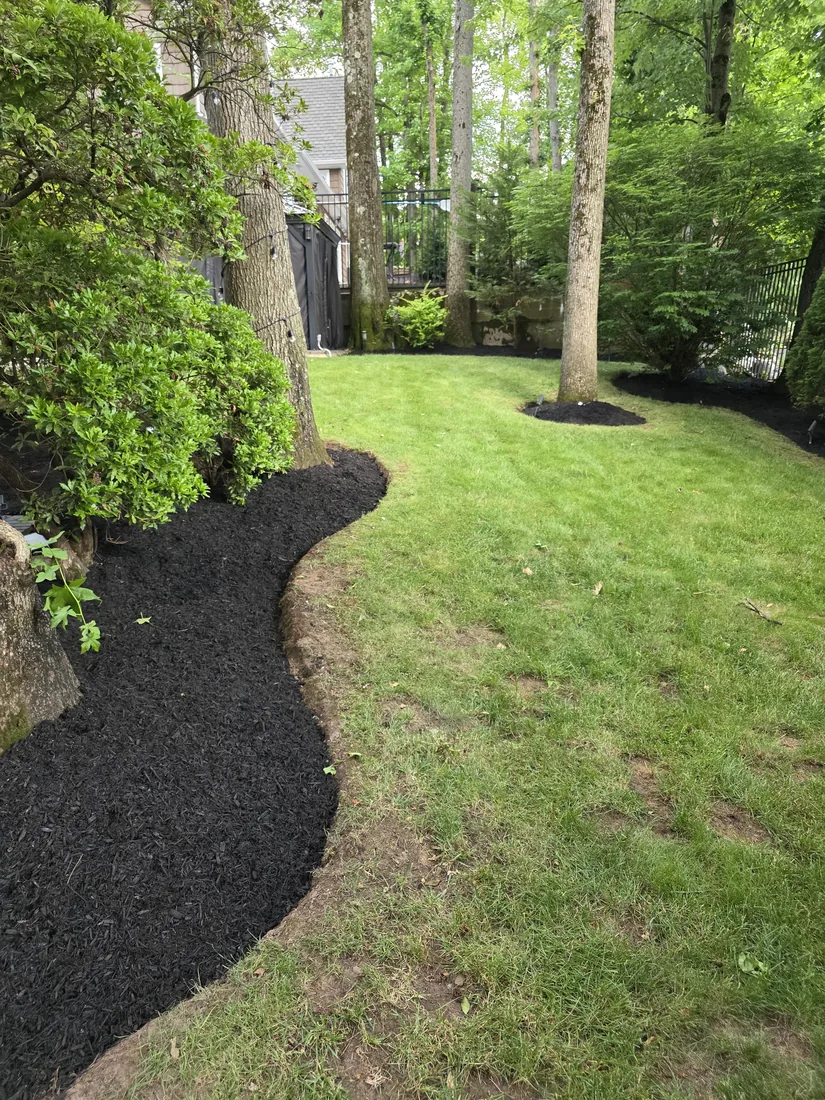 Fresh black mulch bed with a clean cut edge along the lawn