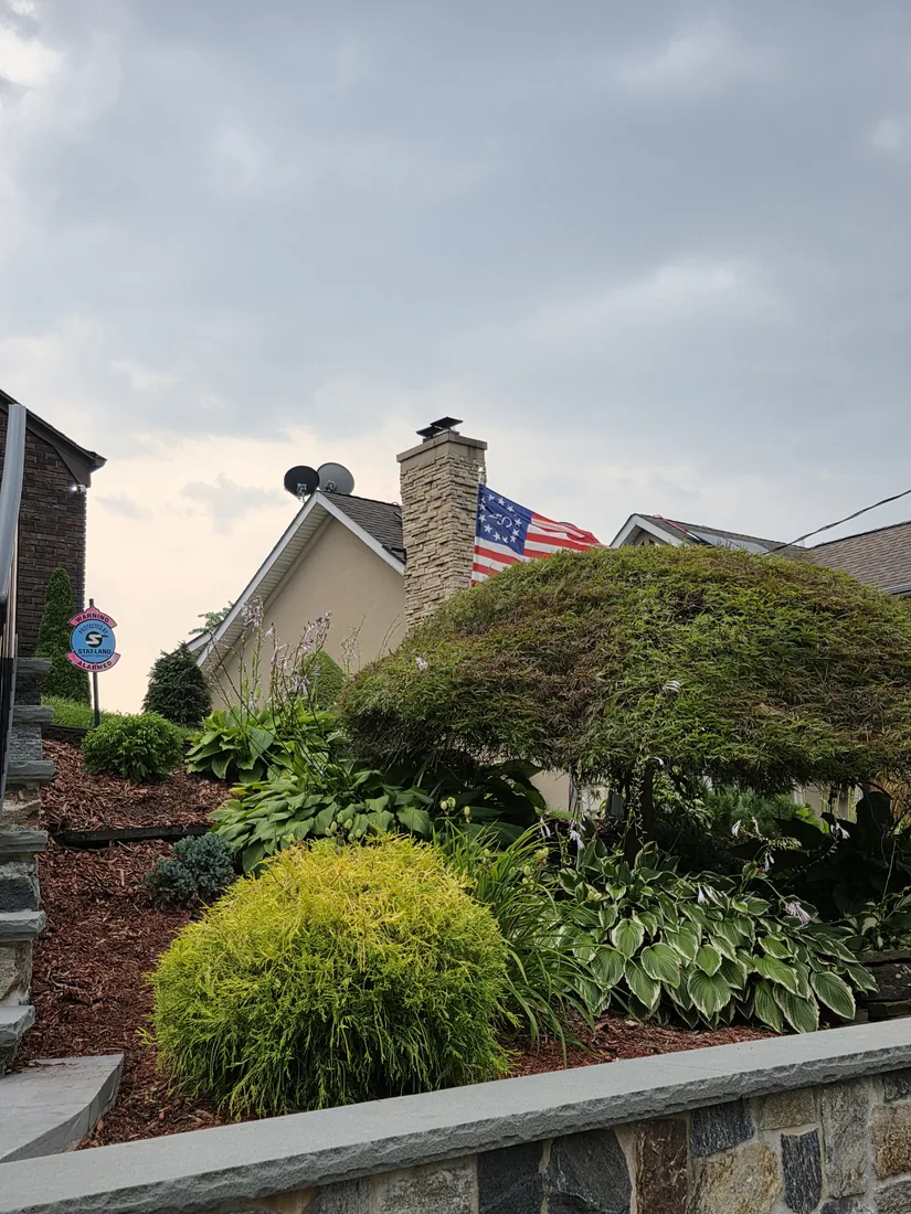 Hillside bed with hostas, shaped shrubs and fresh mulch