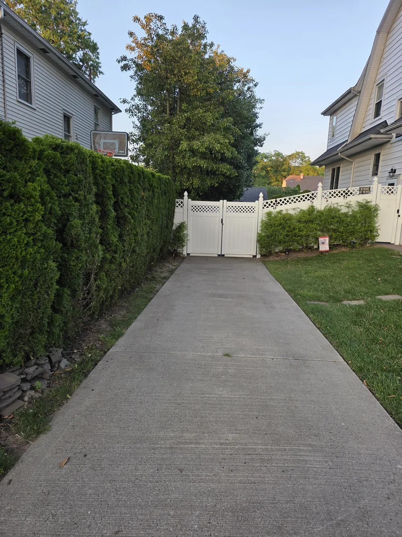 Tall arborvitae privacy hedge running the length of a concrete driveway