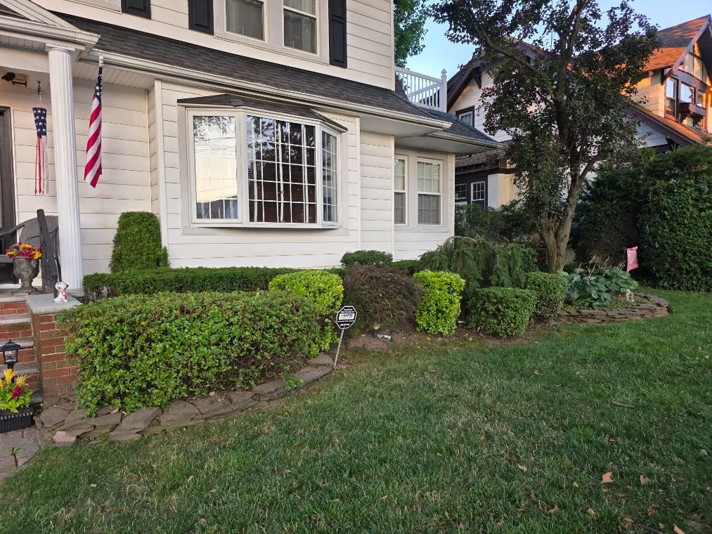 Boxwood hedge trimmed square at the front of a house