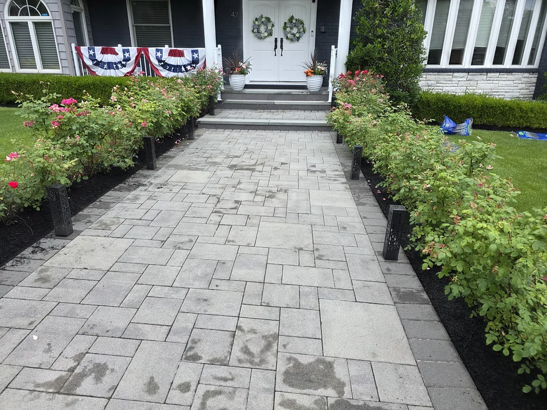 Paver walkway lined with rose bushes and fresh black mulch