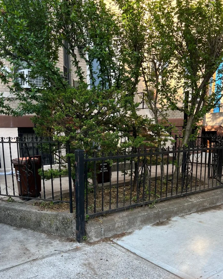Small Brooklyn front yard behind an iron fence, beds cleared and swept