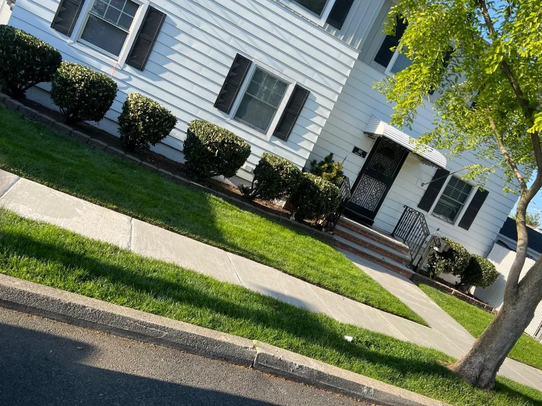 White house with a row of rounded shrubs and a freshly cut lawn