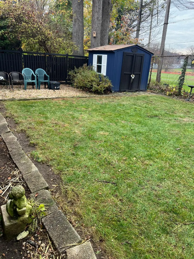 Backyard lawn cut and cleared in late autumn beside a blue shed